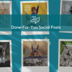 Done For You Social Posts Templates and Videos never wonder what to post again Lifetime Deal