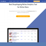 FindNiche, is a powerful dropshipping niches finder with the largest eCommerce intelligence database.