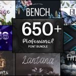 650+ Professional Font Bundle
