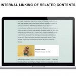 Internal Linking Related Contents | Exclusive Offer from AppSumo