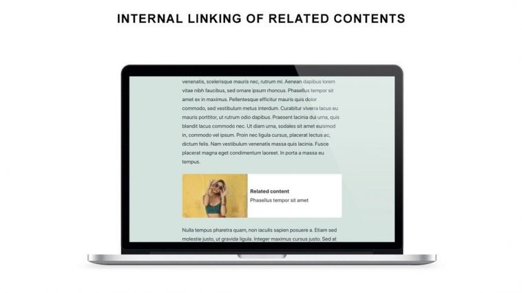 Internal Linking Related Contents | Exclusive Offer from AppSumo