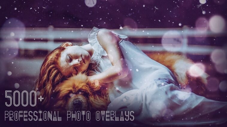 5000+ Professional Photo Overlays | Exclusive Offer from AppSumo