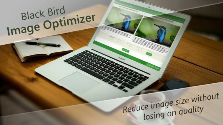Black Bird Image Optimizer | Exclusive Offer from AppSumo