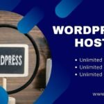 WordPress One