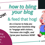 How to Bling Your Blog & Feed That Hog