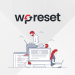 WP Reset Team Plan | Discover products. Stay weird.