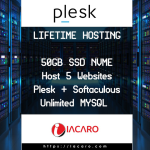 Lifetime Hosting with Plesk & Softaculous with Free SSL