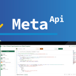 Meta API - Automate API integration