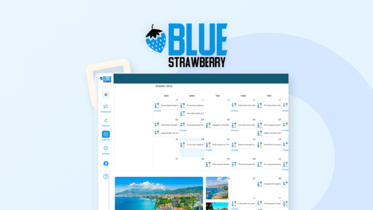 Blue Strawberry - Professional Account | Discover products. Stay weird.