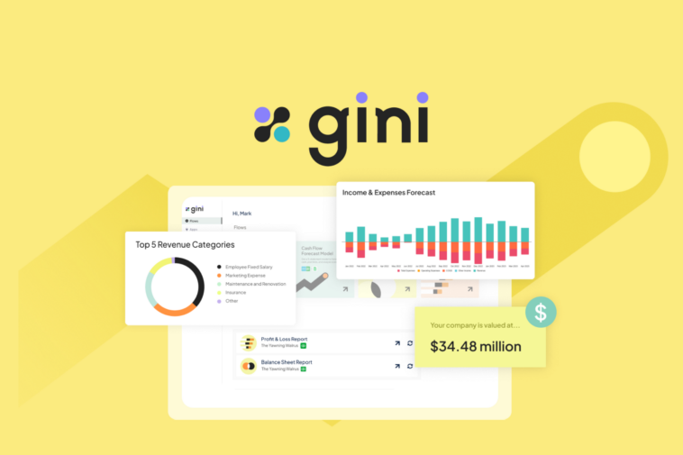 gini - Financial models and valuations in seconds