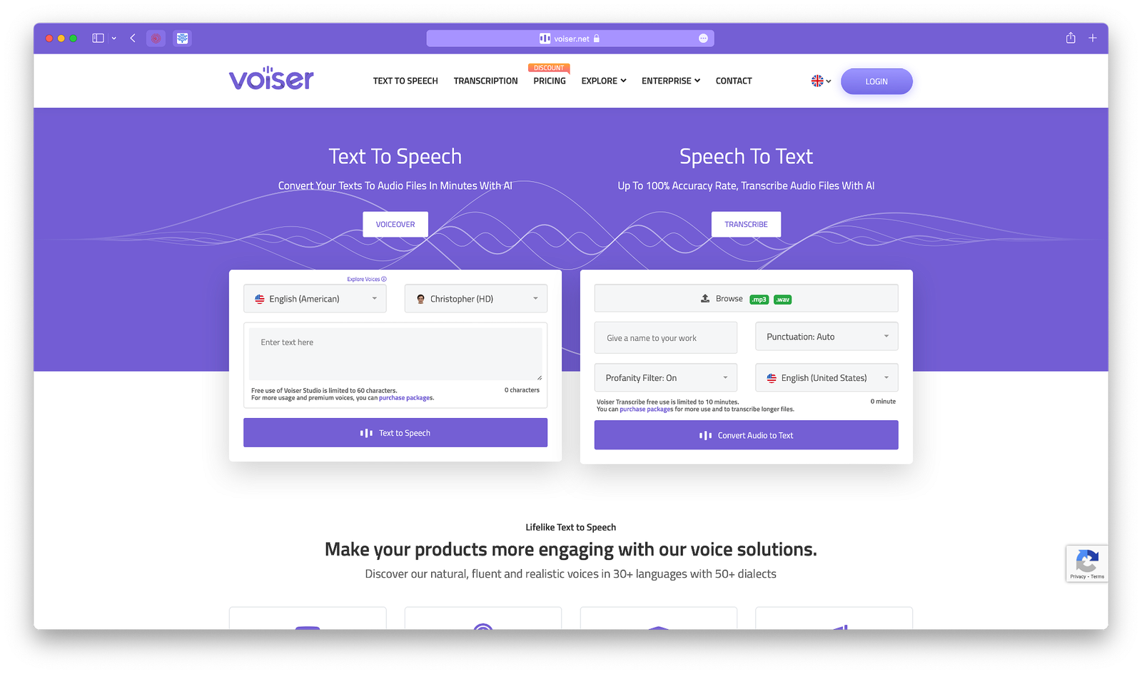 Voiser project options